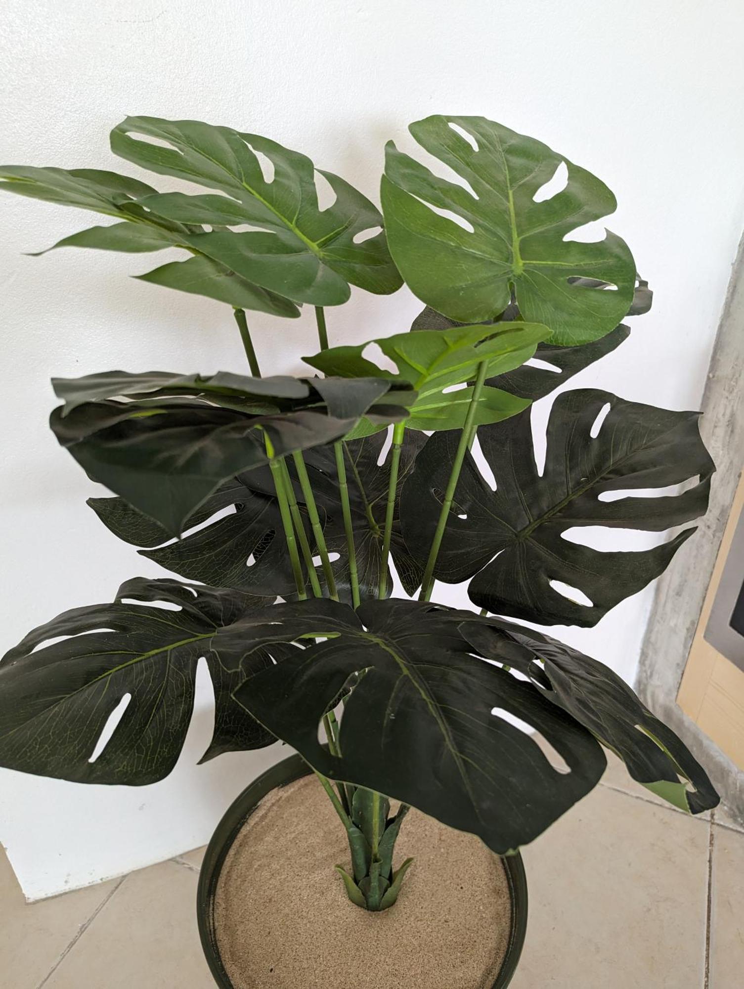 Tropical Leaves Sea View Penthouse Ca Greta 2 Floor Apartment ซาลเรย์ ภายนอก รูปภาพ